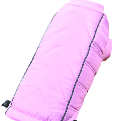 Hainuta Caini 4DOG DELUXE Replay Roz 30cm