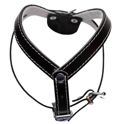 4DOG Ham pentru Caine din Piele cu Pasla, Negru, Nr. 1, 330 360-420 mm ,   DELISTAT