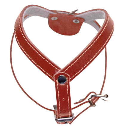 Ham pentru Caine, 4DOG, din Piele cu Pasla, Rosu, Nr. 1, 330 360-420 mm