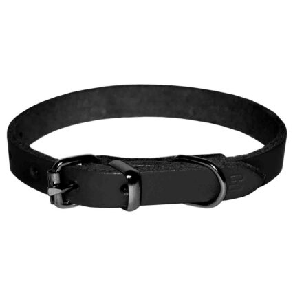 Zgarda pentru Caine, 4DOG, din Piele, Neagra, Nr. 3, 25 530 mm