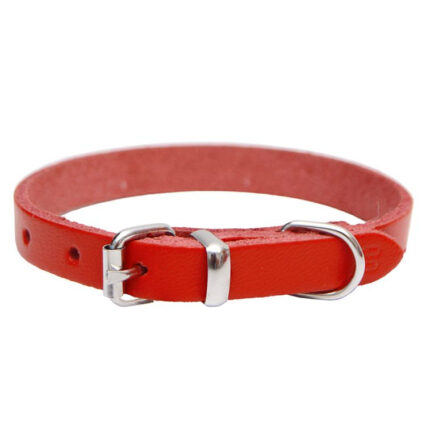 4DOG Zgarda pentru Caine din Piele, Rosie, Nr. 00, 10 290 mm