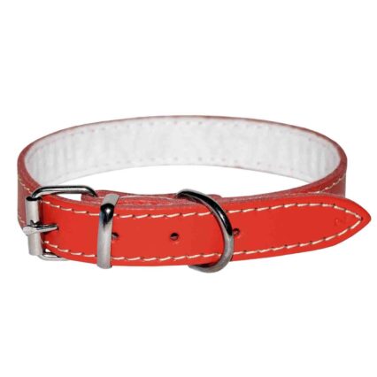 Zgarda pentru Caine, 4DOG, Piele si Pasla, Rosie, Nr. 4, 30 620 mm