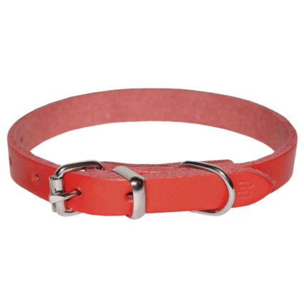 Zgarda pentru Caine, 4DOG, Piele, Rosie, Nr. 4, 30 620 mm